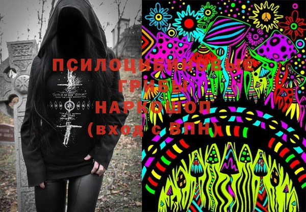 PSILOCYBIN Абинск